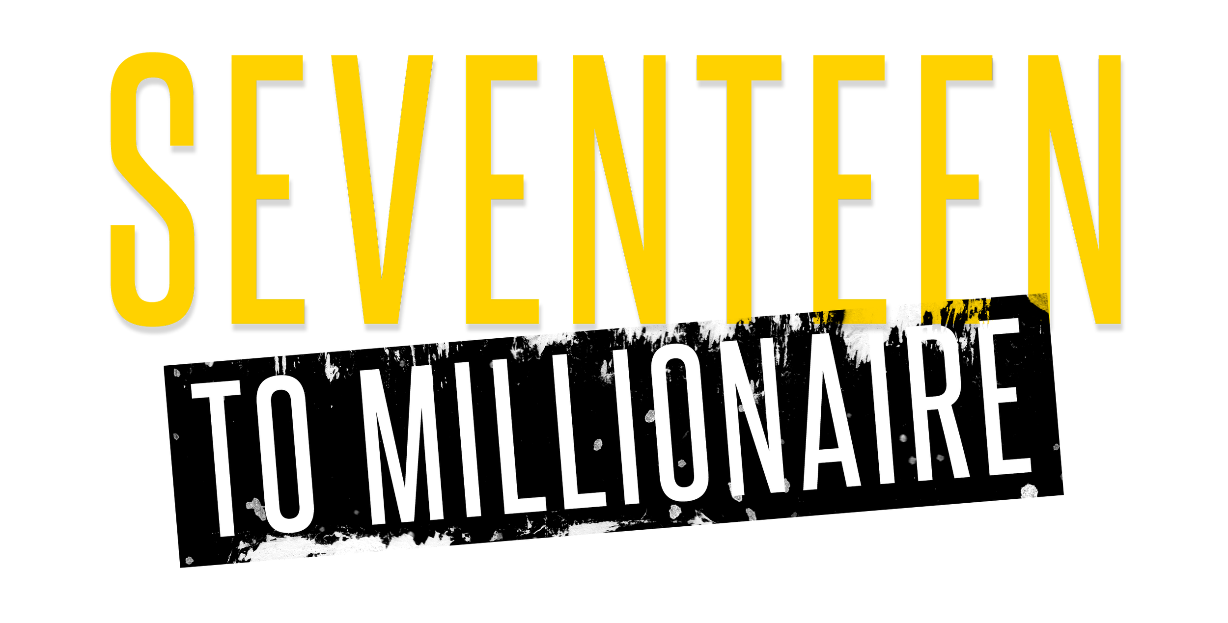 Seventeen To Millionaire Book Cover
